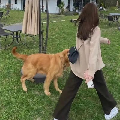 萝拉